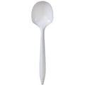Plastic Spoon set 1 count