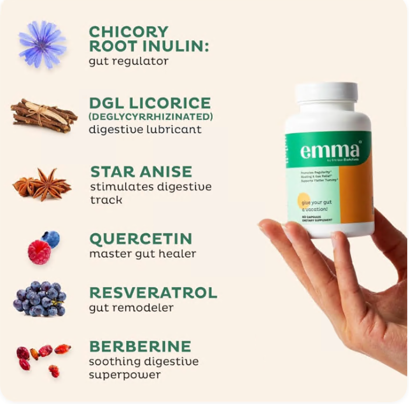Emma Gut Health Relief Supplement – Digestive Support for Bloating, Gas & Constipation | 60 Capsules